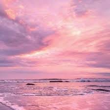 Hoàng Quốc Trung avatar