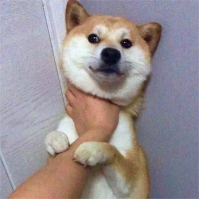 Trần Minh Quân avatar