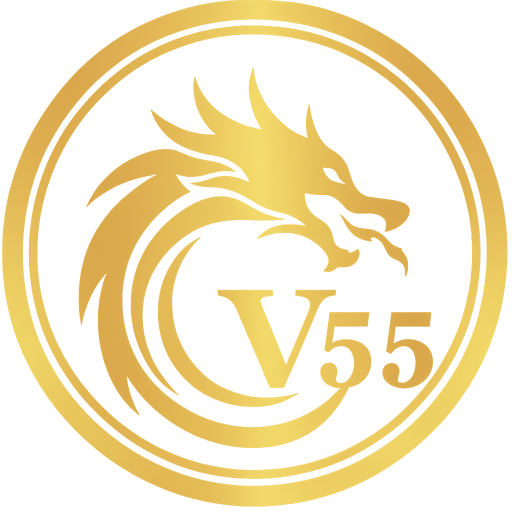 vnv55.net Logo